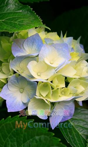 osCommerce 无锯齿清晰水印图片插件